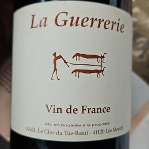 Clos du Tue-Bœuf - Zoé, Louise & Thierry Puzelat - Pineau d'Aunis