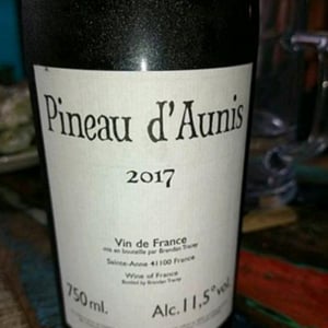 Clos du Tue-Bœuf - Zoé, Louise & Thierry Puzelat - Pineau d'Aunis