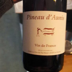 Pineau d'Aunis - Clos du Tue-Bœuf - zoe-louise-thierry-puzelat