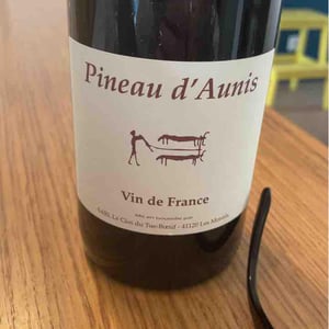 Clos du Tue-Bœuf - Zoé, Louise & Thierry Puzelat - Pineau d'Aunis