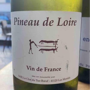 Pineau de la Loire - Clos du Tue-Bœuf - zoe-louise-thierry-puzelat