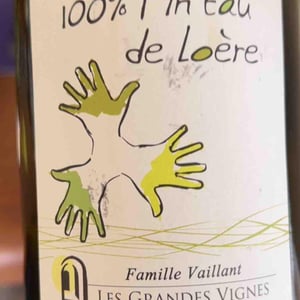Pin'eau de la Loire - Les Grandes Vignes - Laurence, Dominique & Jean-François Vaillant 