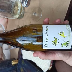 Les Grandes Vignes - Laurence, Dominique & Jean-François Vaillant - Pin'eau de la Loire