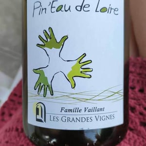 Les Grandes Vignes - Laurence, Dominique & Jean-François Vaillant - Pin'eau de la Loire