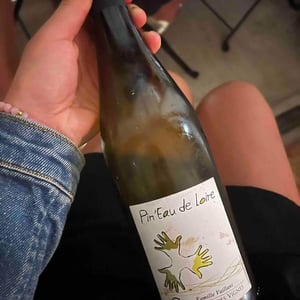 Les Grandes Vignes - Laurence, Dominique & Jean-François Vaillant - Pin'eau de la Loire