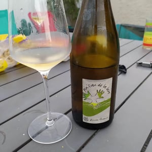 Les Grandes Vignes - Laurence, Dominique & Jean-François Vaillant - Pin'eau de la Loire