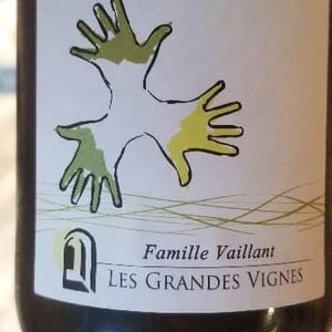 Les Grandes Vignes - Laurence, Dominique & Jean-François Vaillant - Pin'eau de la Loire