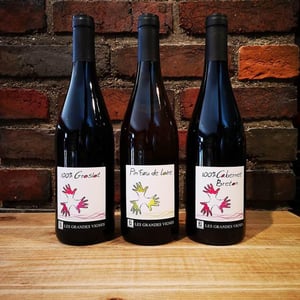 Pin'eau de la Loire - Les Grandes Vignes - laurence-dominique-jean-francois-vaillant