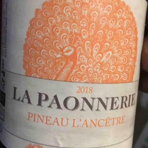 Pineau L'Ancêtre - La Paonnerie - Marie Carroget 