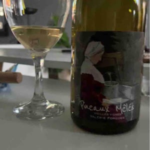 Pineaux Mêlés - Domaine de la Méchinière - Louis et Valérie Forgues -2015
