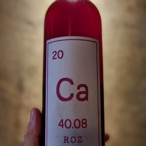 Roz - Valentina Passalacqua - Valentina Passalacqua -2019