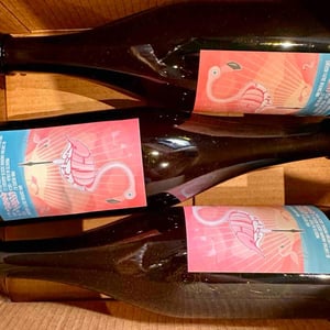 pink bird - Cantina Anonima - ruggero-baronti-damiano-donati -2023