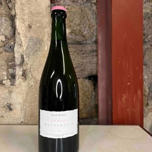 Pink Bulles - Jean Maupertuis - jean-maupertuis