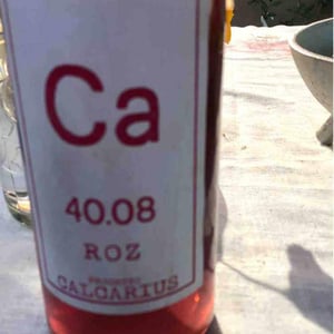 Calcarius Roz - Valentina Passalacqua - Valentina Passalacqua 