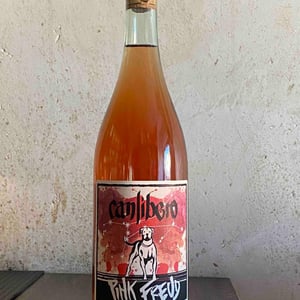 Pink Freud - Canlibero - ennio-romano-cecaro-mena-iannella