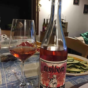Pink Freud - Canlibero - Ennio Romano Cecaro, Mena Iannella 
