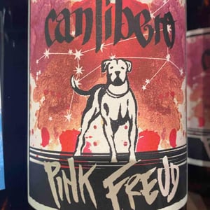 Pink Freud - Canlibero - Ennio Romano Cecaro, Mena Iannella 