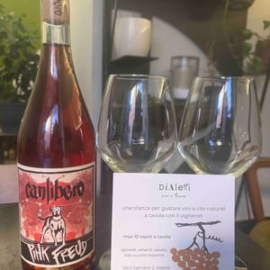 Pink Freud - Canlibero - ennio-romano-cecaro-mena-iannella