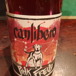 Pink Freud - Canlibero - ennio-romano-cecaro-mena-iannella