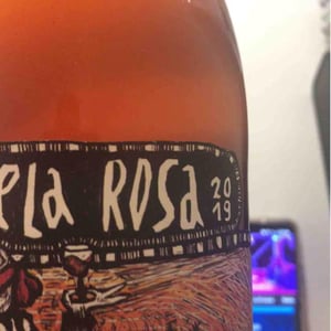 Rebela Rosa - Slobodné Vinárstvo - Majer Zemianske Sady - michal-kuropka-agnes-lovecka-katarina-kuropkova
