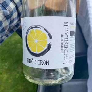 Pinô Citron - Lindenlaub - Christophe Lindenlaub 