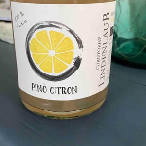 Lindenlaub - Christophe Lindenlaub - Pinô Citron