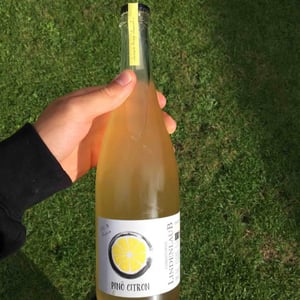Lindenlaub - Christophe Lindenlaub - Pinô Citron