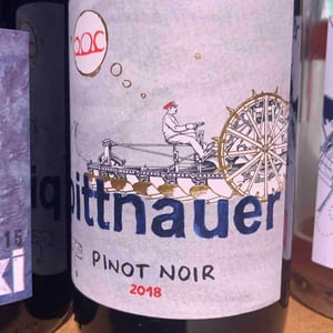 Pinot Noir - Weingut Pittnauer - gerhard-brigitte-pittnauer