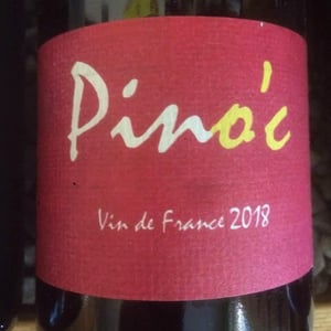 Pino'c - Wa Sud - kohki-iwata -2022