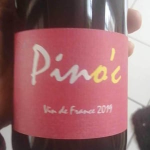 Pino'c - Wa Sud - Kohki Iwata -2022