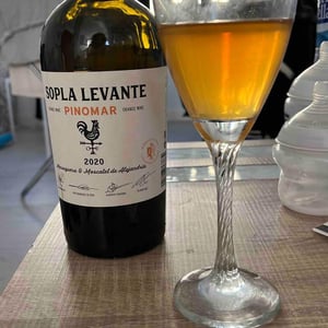 Pinomar - Sopla Levante - Pepe Rodríguez de Vera, Hilarión Pedauyé, Álvaro Ruiz & Alberto Soriano 