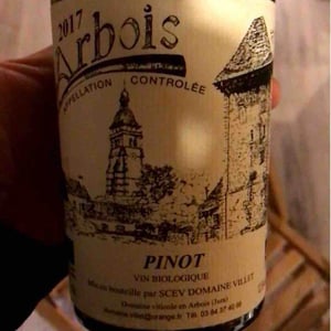 Pinot - Domaine Villet - gerard-christine-villet