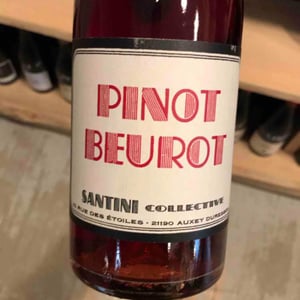 Pinot Beurot - Santini Collective - Christopher & Patrick Santini 