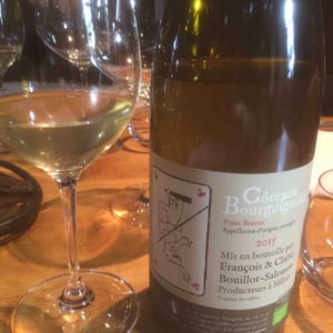 Pinot Beurrot - Bouillot-Salomon - François & Claire Bouillot-Salomon 