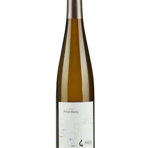 Pinot Blanc - Armin Kienesberger – Biodynamischer Weinbau - armin-kienesberger