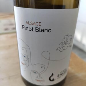 Pinot Blanc - Armin Kienesberger – Biodynamischer Weinbau - Armin Kienesberger 