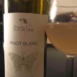 Pinot Blanc - Domaine Clé de Sol - jean-simon-baltenweck-yannick-mignot