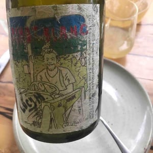 Pinot Blanc - Lucy Margaux Vineyards - Anton Van Klopper 