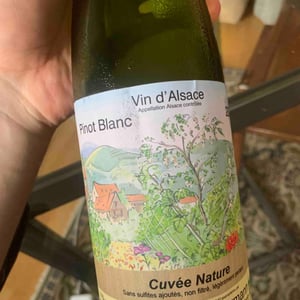 Pinot Blanc Cuvee Nature - Anna, André & Yann Durrmann - anna-andre-yann-durrmann