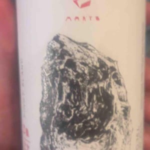 Pinot blanc - Marto Wines - Weingut Wörner - martin-worner -2022