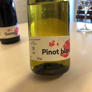 Pinot Blanc - Domaine Mermoud - damien-mermoud