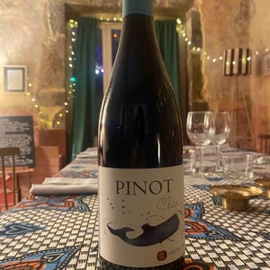 Pinot Chio - Mas du Chêne - emmanuelle-delon-luc-vignal