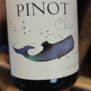 Pinot Chio - Mas du Chêne - Emmanuelle Delon & Luc Vignal 