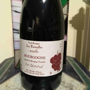 Pinot Déraisonné - Domaine des Faverelles - Isabelle & Patrick Georgelin 