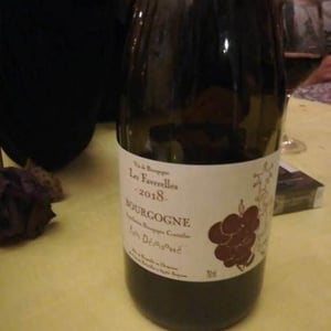 Pinot Déraisonné - Domaine des Faverelles - isabelle-patrick-georgelin