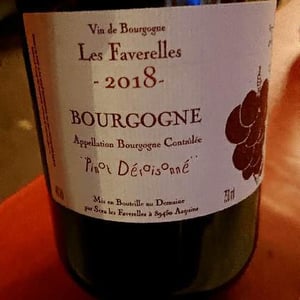 Pinot Déraisonné - Domaine des Faverelles - isabelle-patrick-georgelin