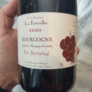 Pinot Déraisonné - Domaine des Faverelles - isabelle-patrick-georgelin