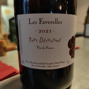 Pinot Déraisonné - Domaine des Faverelles - Isabelle & Patrick Georgelin 