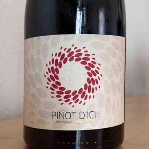 Pinot d'Ici - Domaine Henrioud - Jean-Michel Henrioud 