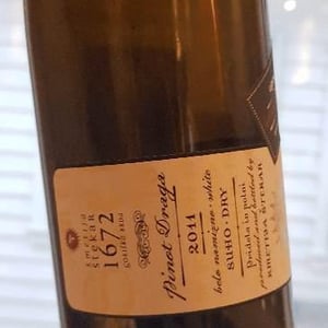 Pinot Draga - Kmetija Štekar - janko-stekar